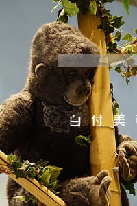 白付美可以申请逾期吗 白付美可以申请逾期吗
