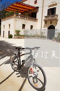 白付美因逾期被冻结 白付美因逾期被冻结