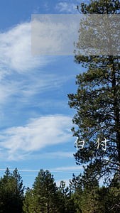 白付美逾期一个月会怎么样 白付美逾期一个月会怎么样