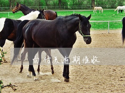 白付美逾期催收 白付美逾期催收