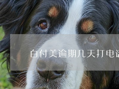 白付美逾期几天打电话 白付美逾期几天打电话