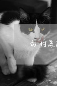 白付美逾期只还本金 白付美逾期只还本金