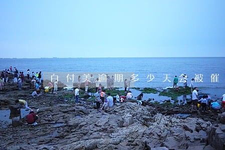 白付美逾期多少天会被催款 白付美逾期多少天会被催款