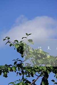 白付美逾期打电话 白付美逾期打电话