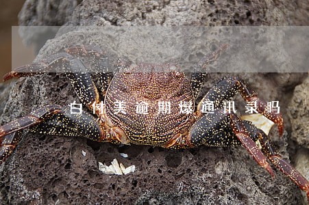 白付美逾期爆通讯录吗 白付美逾期爆通讯录吗