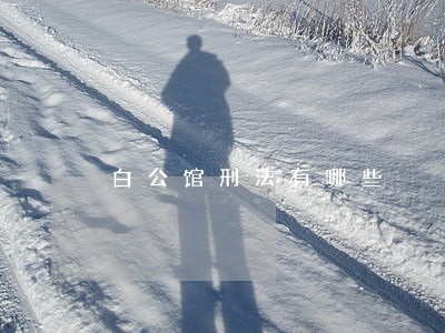 白公馆刑法有哪些