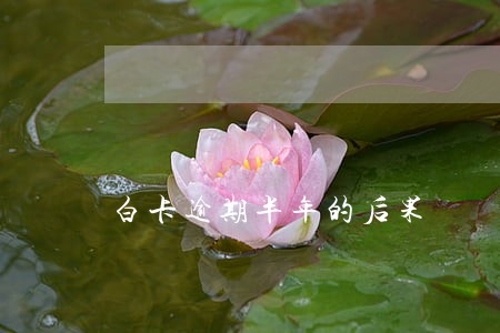 白卡逾期半年的后果 白卡逾期半年的后果