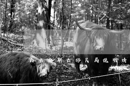 白卡逾期去移民局说明情况 白卡逾期去移民局说明情况