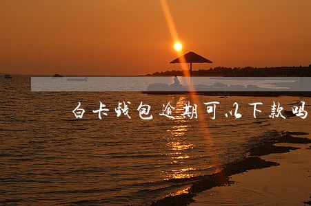白卡钱包逾期可以下款吗 白卡钱包逾期可以下款吗