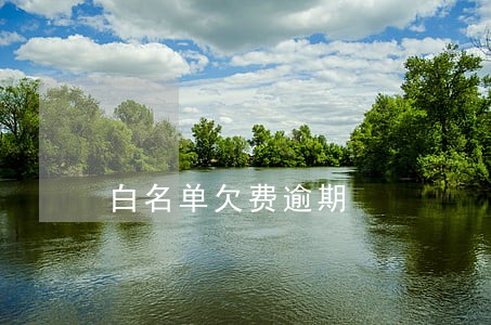 白名单欠费逾期 白名单欠费逾期