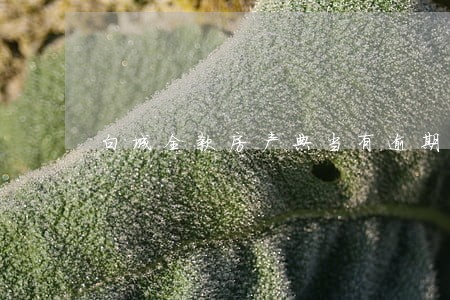 白城全款房产典当有逾期能办吗 白城全款房产典当有逾期能办吗