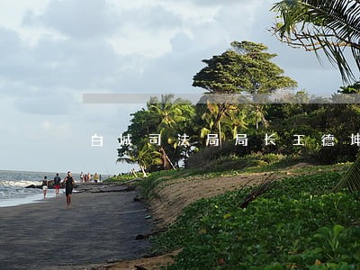 白城司法局局长王德坤 白城司法局局长王德坤