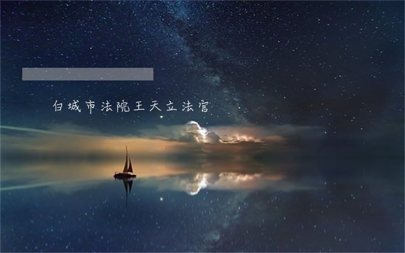 白城市法院王天立法官