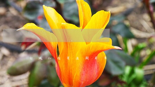 白城征信有逾期买车 白城征信有逾期买车