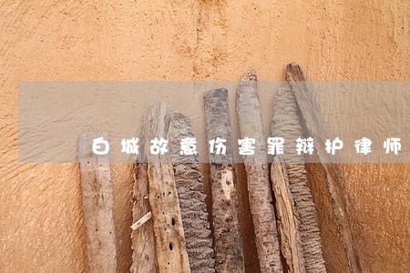 白城故意伤害罪辩护律师团队 白城故意伤害罪辩护律师团队