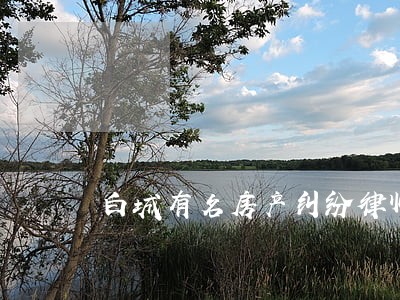 白城有名房产纠纷律师 白城有名房产纠纷律师