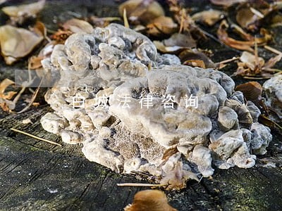 白城法律咨询 白城法律咨询