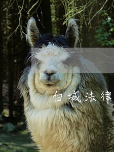 白城法律咨询热线 白城法律咨询热线