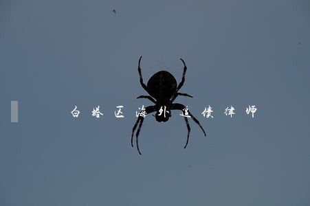 白塔区海外追债律师 白塔区海外追债律师