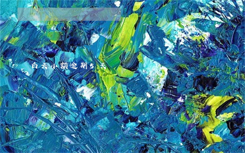 白天小额逾期5天