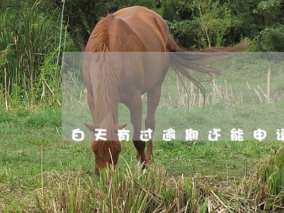 白天有过逾期还能申请汽车金融吗 白天有过逾期还能申请汽车金融吗