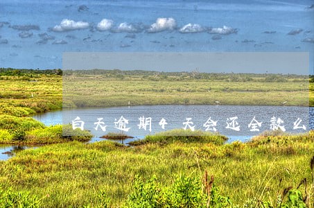 白天逾期4天会还全款么 白天逾期4天会还全款么