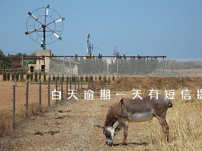 白天逾期一天有短信提醒不 白天逾期一天有短信提醒不