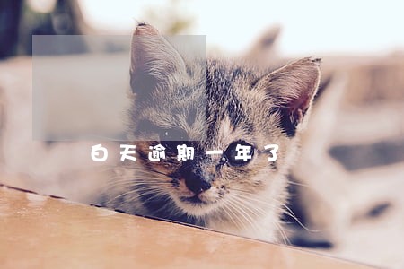白天逾期一年了 白天逾期一年了