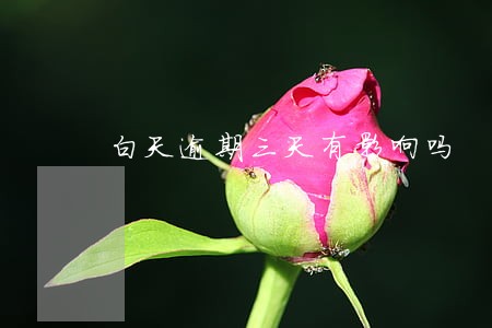 白天逾期三天有影响吗 白天逾期三天有影响吗