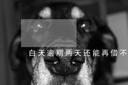 白天逾期两天还能再借不 白天逾期两天还能再借不