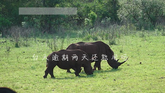 白天逾期两天还能用吗 白天逾期两天还能用吗