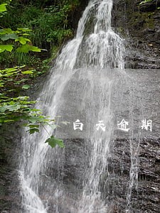 白天逾期五天还了以后 白天逾期五天还了以后