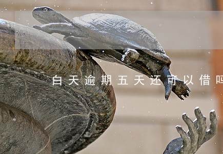 白天逾期五天还可以借吗 白天逾期五天还可以借吗