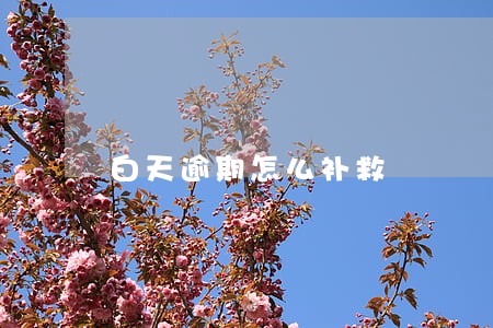 白天逾期怎么补救 白天逾期怎么补救
