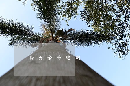 白天金条逾期 白天金条逾期