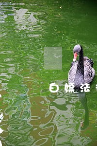 白嫖法律咨询公司 白嫖法律咨询公司