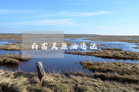 白富美原油违法 白富美原油违法