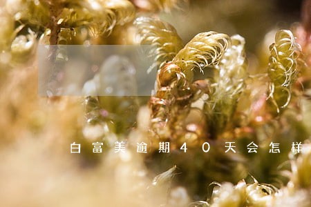 白富美逾期40天会怎样 白富美逾期40天会怎样