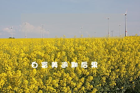 白富美逾期后果