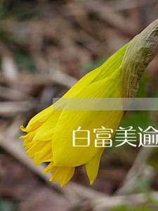 白富美逾期后果严重吗 白富美逾期后果严重吗