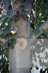 白山市浑江区司法局