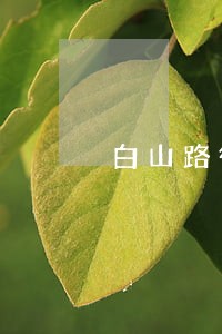 白山路街道法律援助 白山路街道法律援助