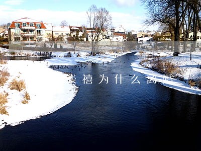 白崇禧为什么离婚