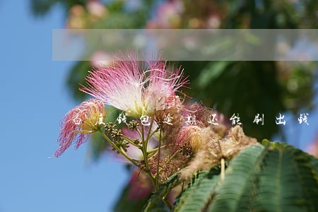 白度钱包逾期还能刷出钱吗