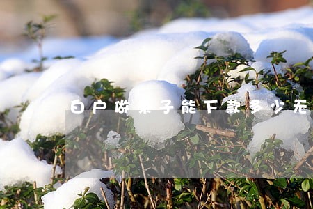 白户做条子能下款多少无逾期 白户做条子能下款多少无逾期