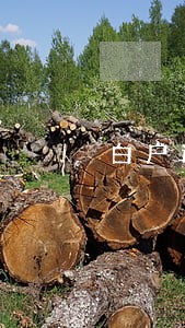白户逾期一年后利息 白户逾期一年后利息