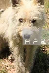 白户逾期后果