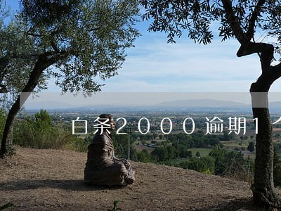 白条2000逾期1个月利息多少 白条2000逾期1个月利息多少