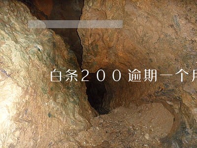 白条200逾期一个月会怎么样 白条200逾期一个月会怎么样