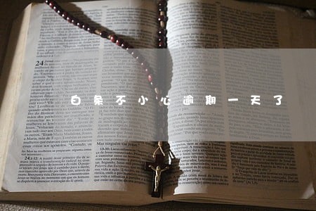 白条不小心逾期一天了
